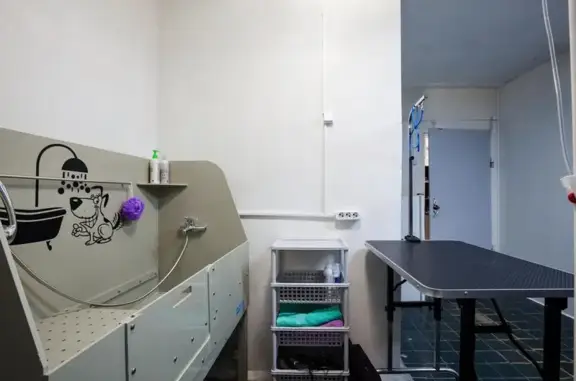 Мокрый нос, клиника