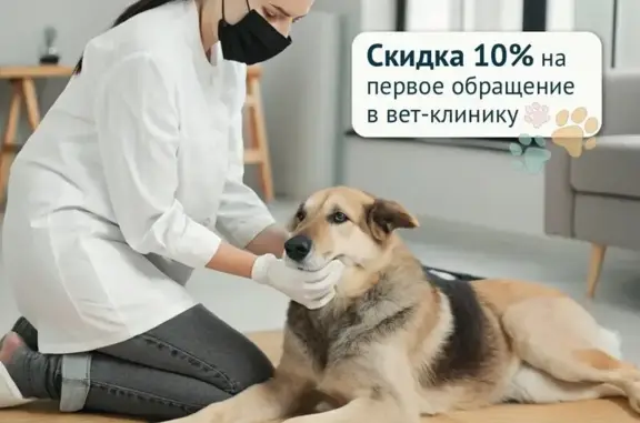 Ветеринарная клиника ЗооЛайн на метро Коньково