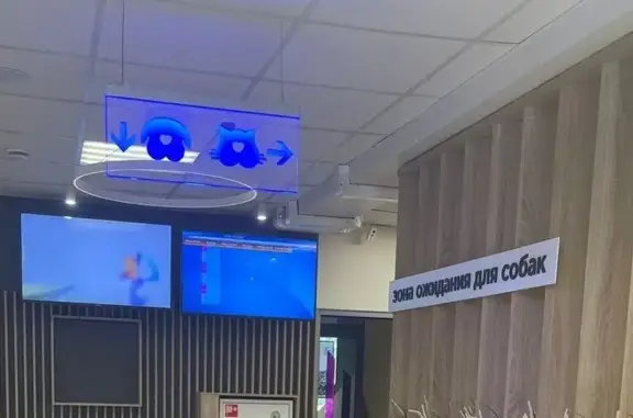 Астин, ветеринарная клиника