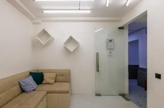 Зоопарикмахерская Шебби-дог