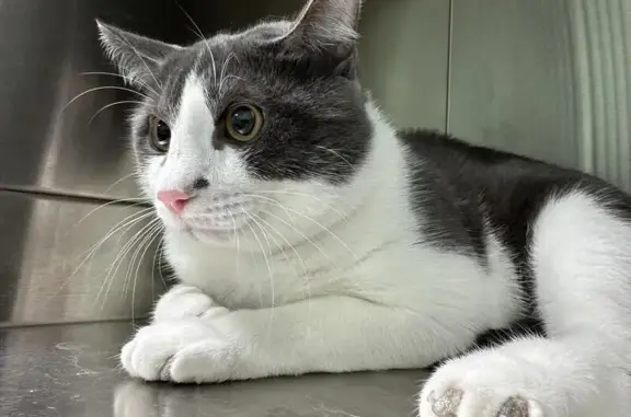 Ветеринарная клиника ZooCity на улице Кул Гали