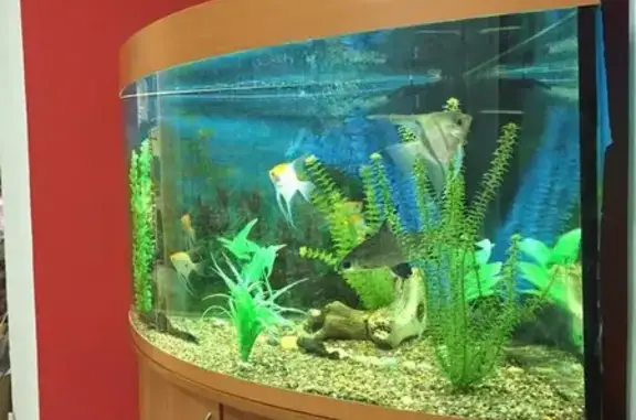 Ветеринарная клиника Академ-сервис на улице Фатыха Амирхана