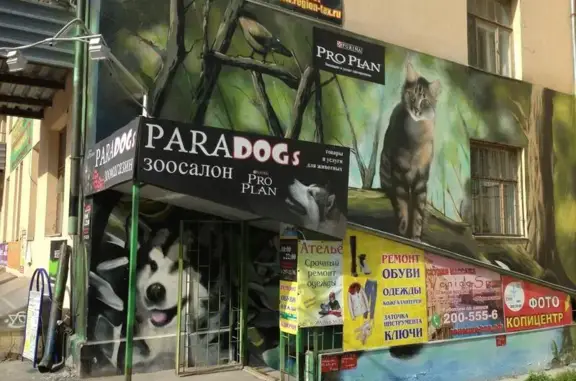 Зоосалон PARADOGs на улице Чапаева