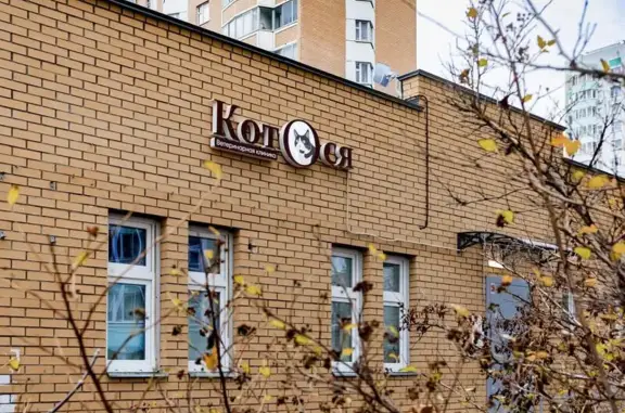 Котося, ветеринарная клиника