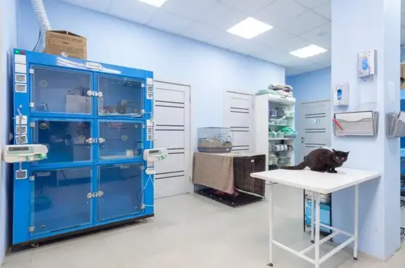 Маленький принц, ветеринарная клиника