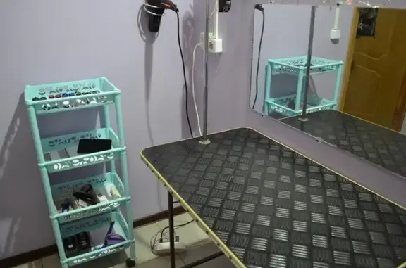 Ветеринарная клиника доктора Маркова