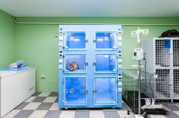 Здоровье, ветеринарный центр