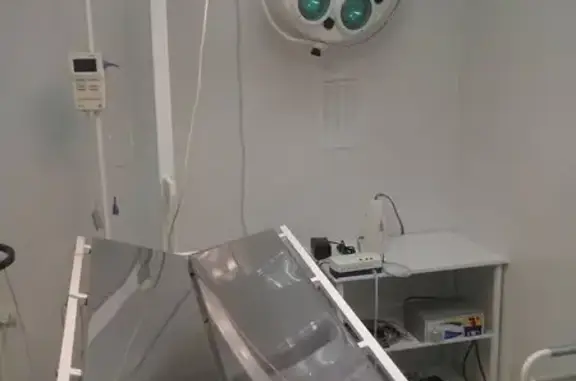 Дзержинская Ветлечебница