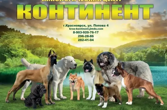 Клуб собаководства Континент