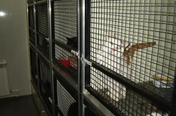 Зооветеринарный центр Байкалвет