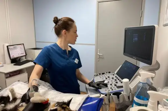 ТриоВет, ветеринарный центр