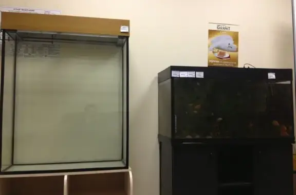 ХвостУшки, зооцентр