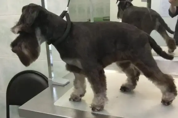 Терветуправление №5, ветеринарная станция