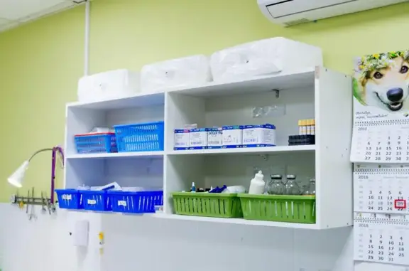 Котонай, ветеринарный центр