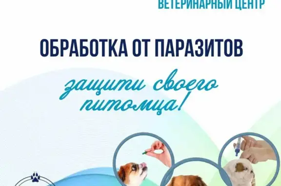 Ветеринарный центр Багира на улице имени Евдокии Бершанской, 311/4