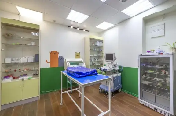 Искра жизни, ветеринарная клиника