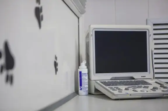 Ветеринарная клиника Багира на улице Энгельса