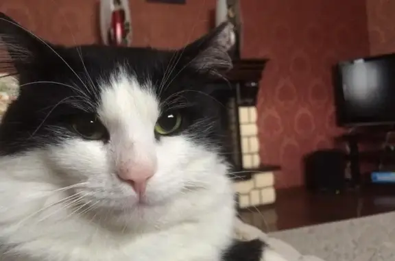 Ветеринарная клиника на улице Губкина, 14в