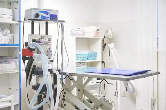 Природа, ветеринарный центр