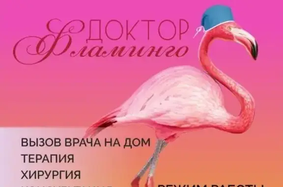 Доктор Фламинго, ветеринарная клиника