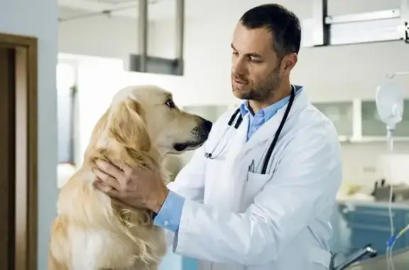 Ветеринарная клиника Счастливый Питомец в Лобне