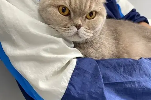 Альфа-Вет, ветеринарный кабинет