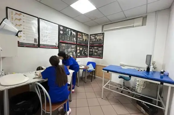 Верный друг, ветеринарная клиника