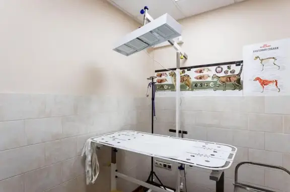 Ветпросвет, ветеринарная клиника