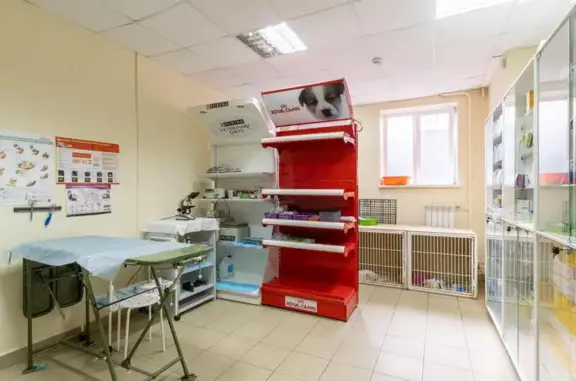 ДокторВет, ветеринарная клиника