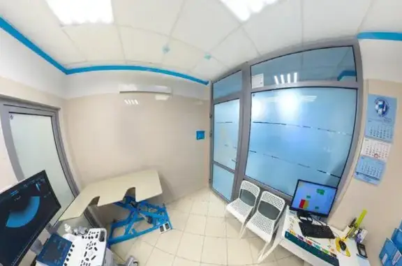 Ветеринарная клиника 101 далматинец на улице Свободы