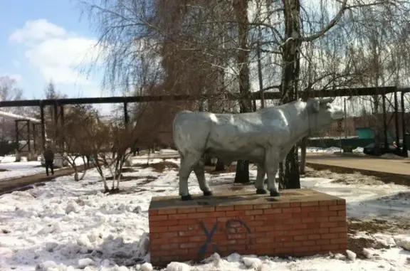 Ветеринарная клиника Самарский государственный аграрный университет на Спортивной улице, 7г