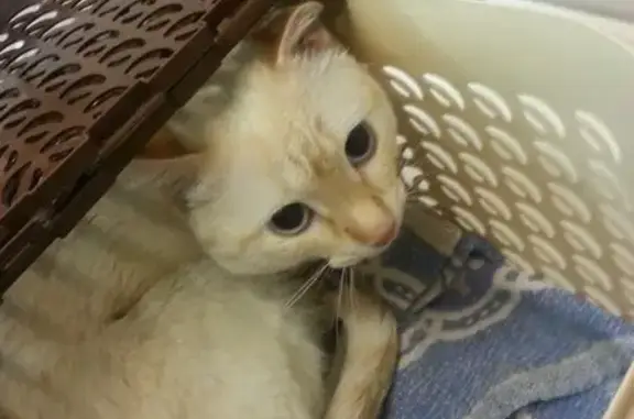 Дарвин, ветеринарная клиника