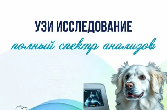 Ветеринарный центр Белый Бим на метро Удельная