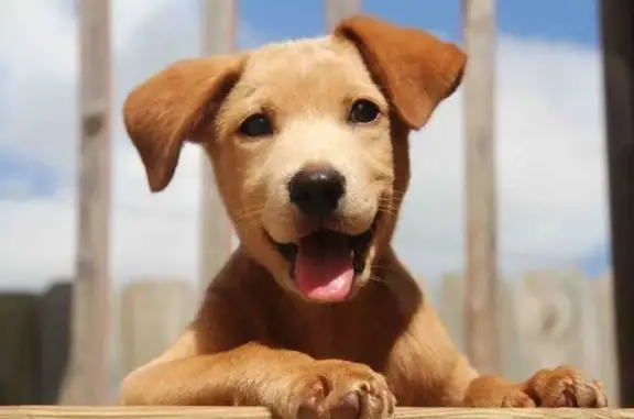 Универсал на Лётной улице, 21 в Мытищах