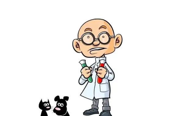 Ветеринарная клиника Ветеринар 38