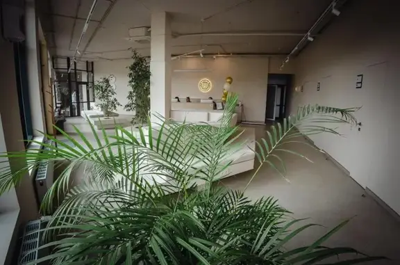 Большая Медведица, ветеринарный центр