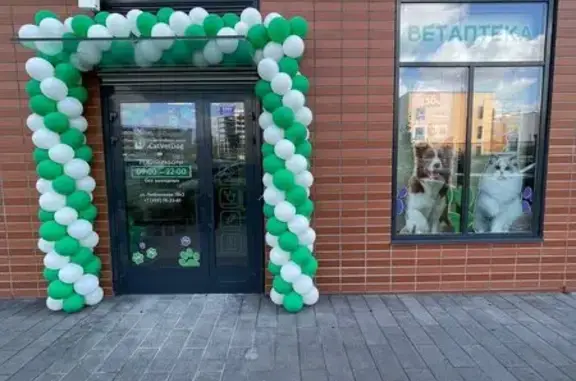 CatVetDog, ветеринарная клиника