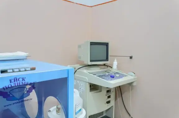 Ветеринарная клиника Ветзоосервис на Линейной улице в Черногорске