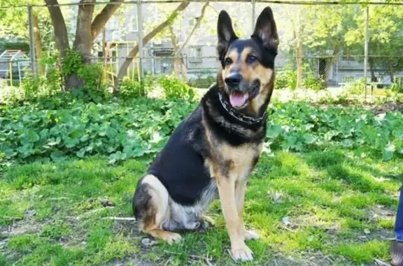 Ветеринарный кабинет № 1 на улице Степана Разина, 79