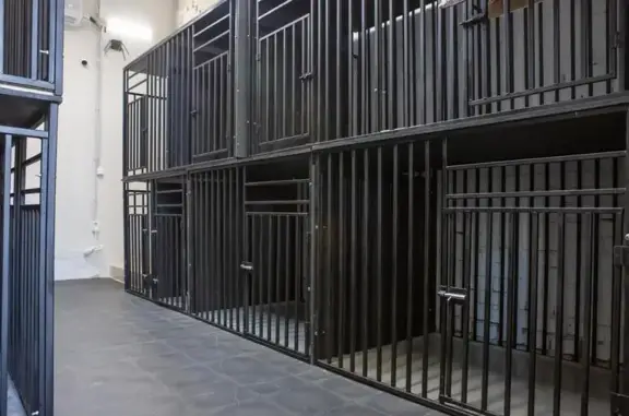 Зоогостиница Мохнатый рай