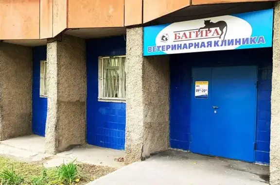Багира, ветеринарная клиника
