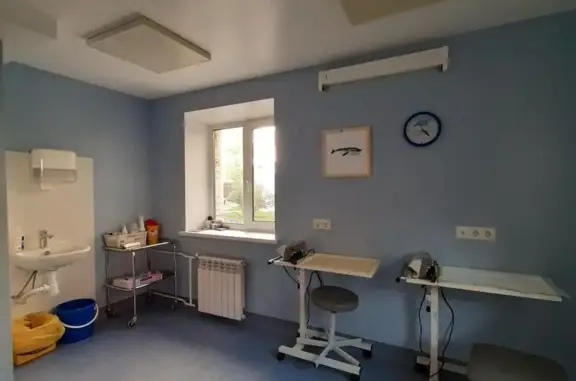 Клиника онкологии животных, МНИОНИ им. Герцена