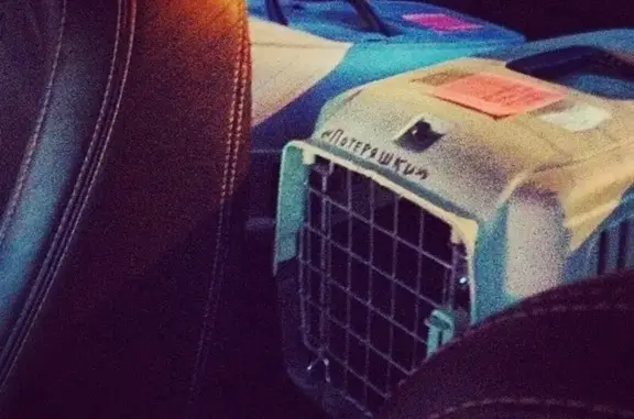 Ветеринарная клиника Призвание на Институтской улице