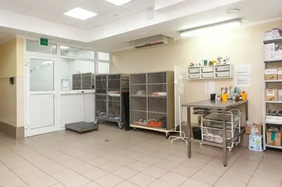 Выездная ветеринарная служба Мос-Вет 24 на улице Александра Солженицына, 25