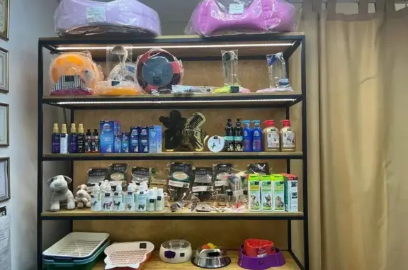 Груминг-салон и SPA для животных Dog House на улице Луначарского, 12