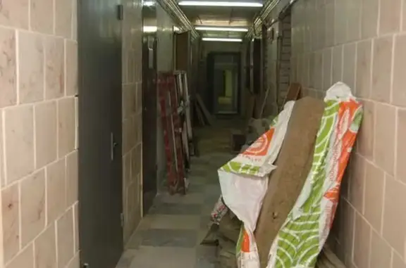 Федеральный центр охраны здоровья животных