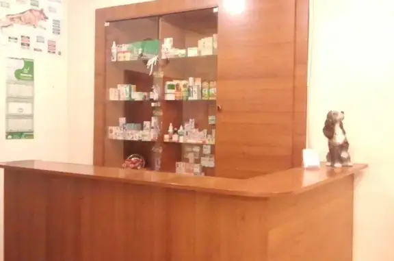 Ветеринарная клиника Кот и Пес на улице Дзержинского