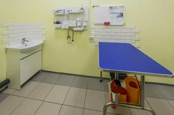 СоВет, ветеринарная клиника