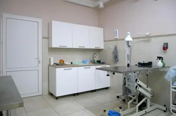 Биовет, ветеринарный центр