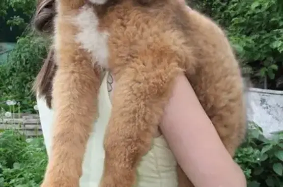 Зооактив, зоологический центр